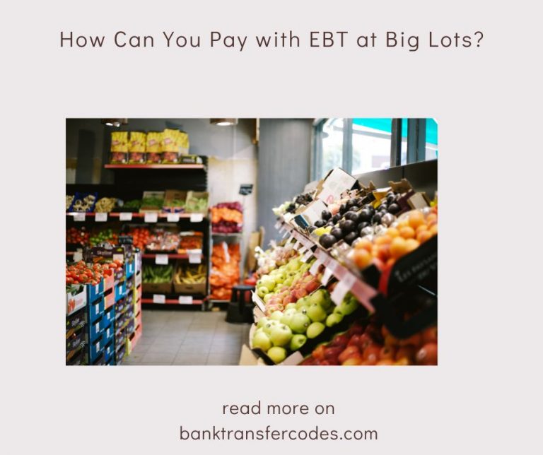 Do Big Lots Accept EBT? Payment Guide